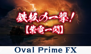 Oval Prime FX MT4󥸥 ŰʤǤ󤤤ä