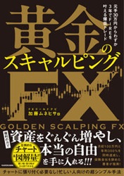 ƣͥҥ 30ߤ鷺3ǯFIRE𤨤ץȥ졼 ΥԥFX